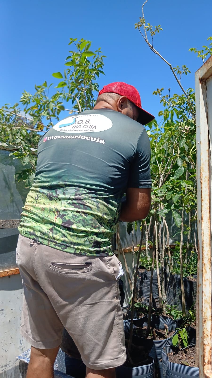 Participante organiza mudas junto a outras plantas