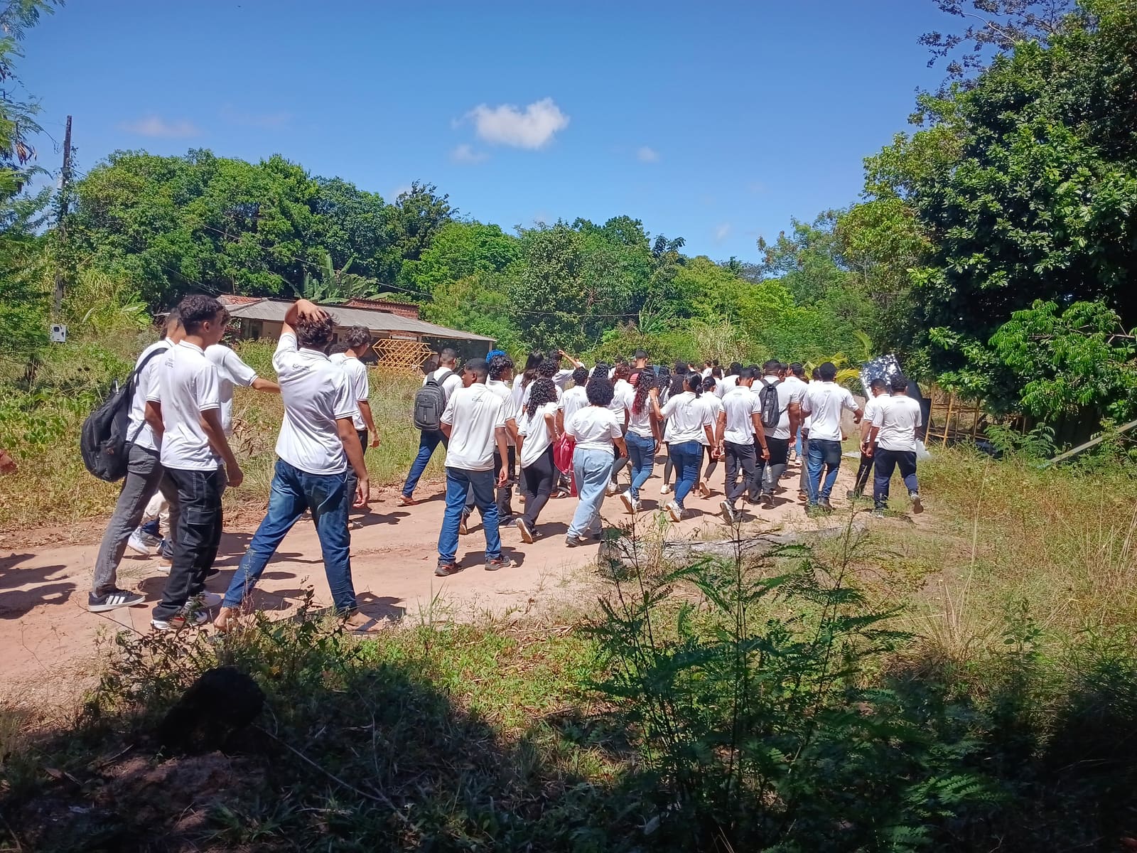 Grupo caminhando por uma área arborizada