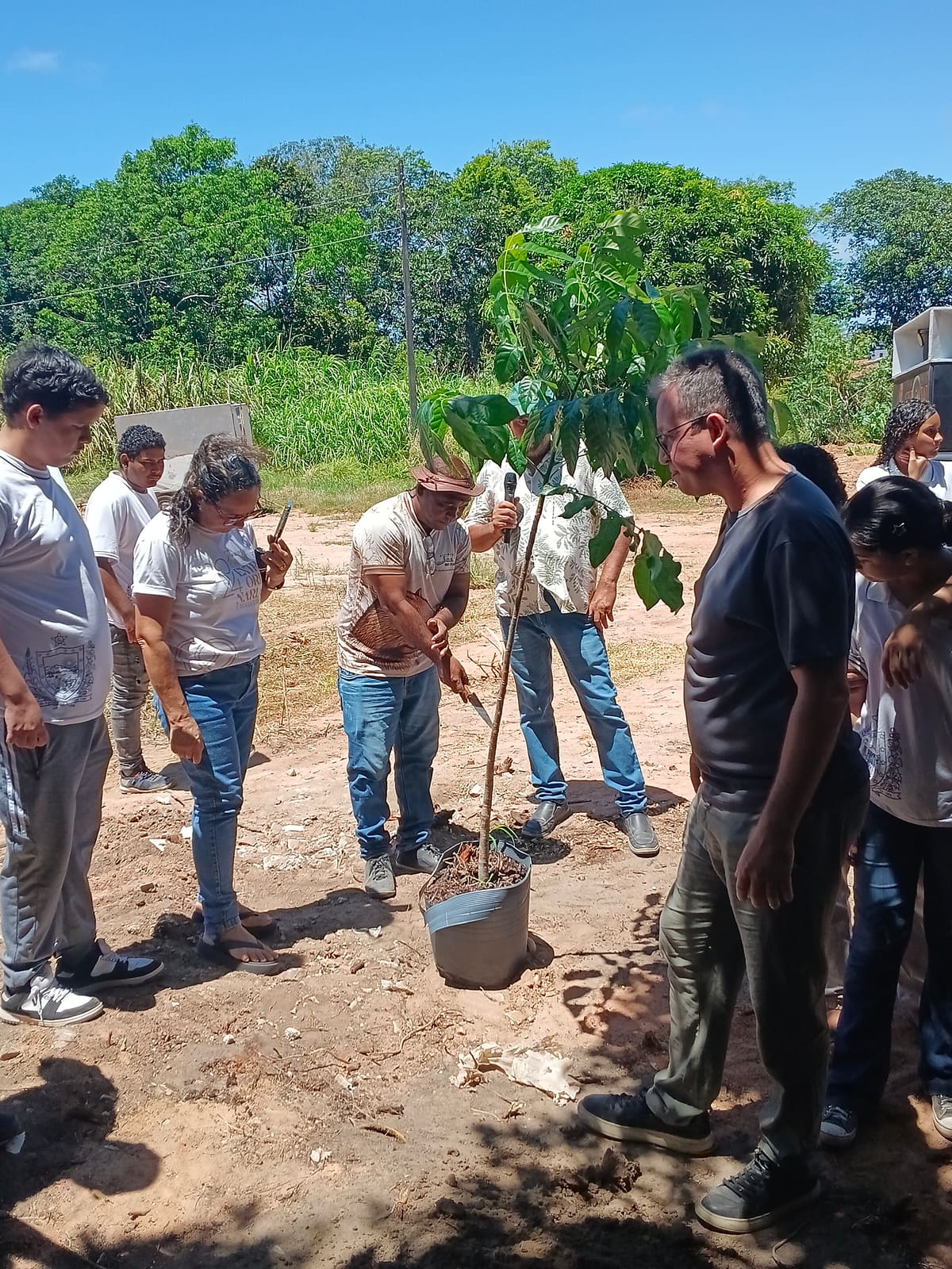 Participantes acompanham a preparação de uma muda de árvore
