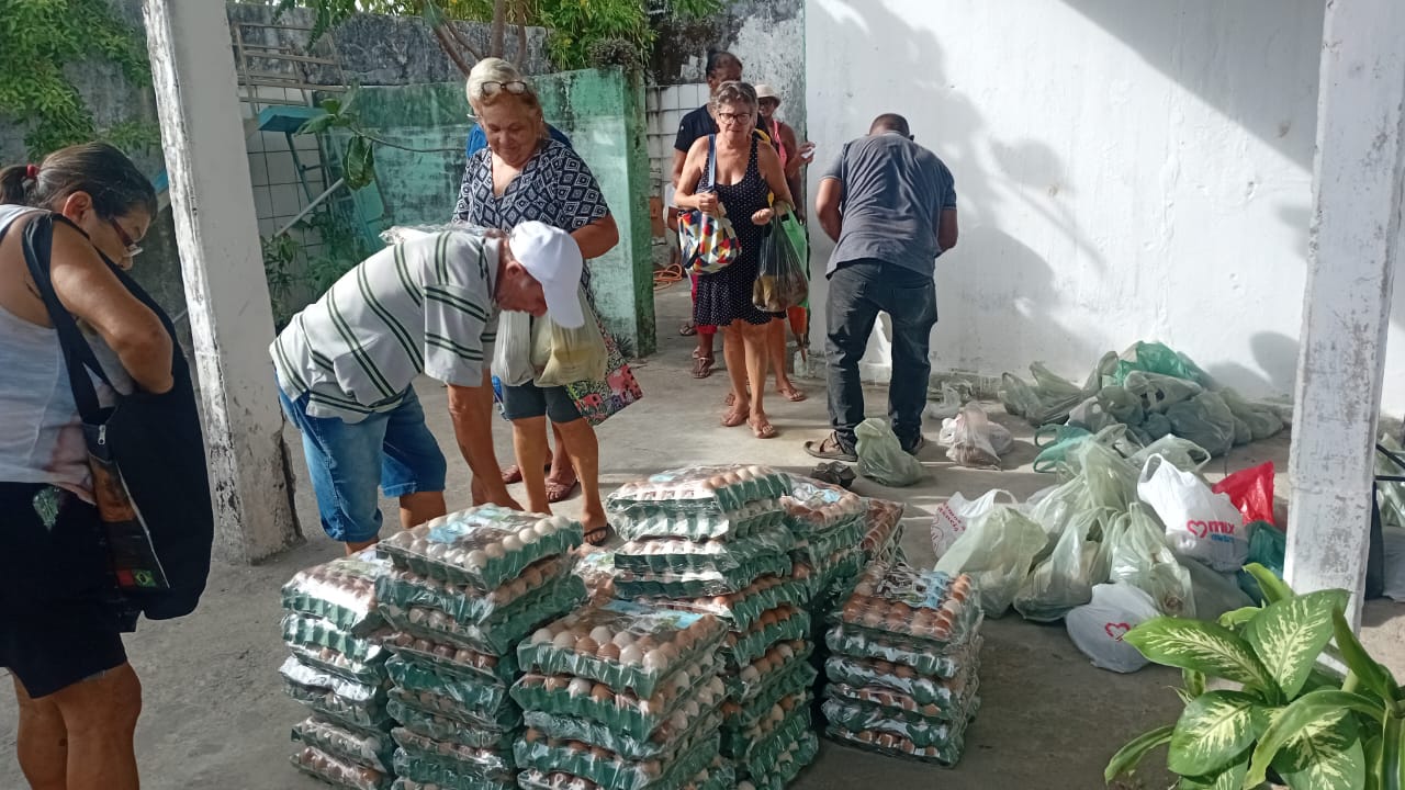 Bandejas de ovos empilhadas e sacolas de alimentos preparadas para distribuição